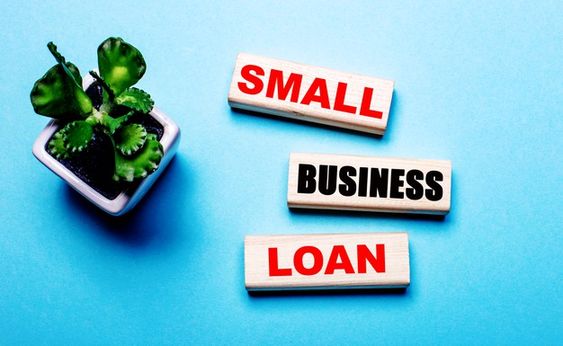 Business Loan Options for Startups